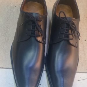 shoe 1333